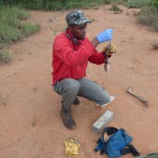 Alois Wambua (former research technician, Mpala)