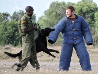 Christian Bopp (former research technician, Ol Pejeta)