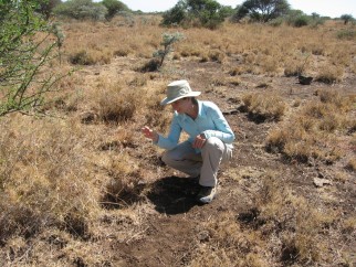 Corinna Riginos (former postdoctoral fellow, UW)