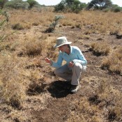 Corinna Riginos (former postdoctoral fellow, UW)