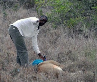 Douglas Kamaru (PhD student, UW)