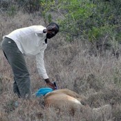 Douglas Kamaru (PhD student, UW)