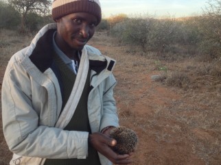 Gilbert Busienei (research technician, Mpala)