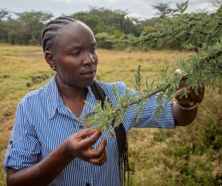 Nelly Maiyo (MSc student, Karatina U)
