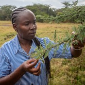 Nelly Maiyo (MSc student, Karatina U)
